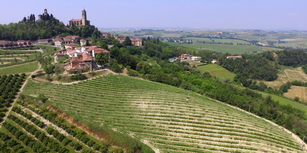 Vinificazione